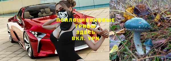 герыч Алексеевка