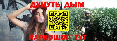 прущие грибы Мариинск