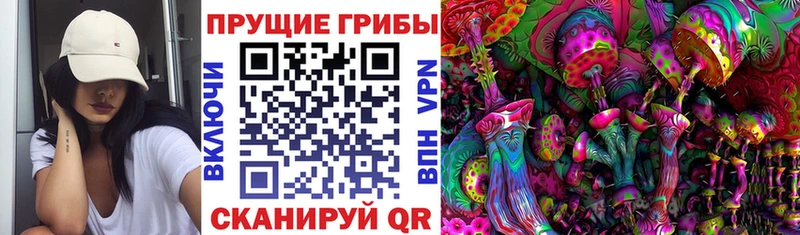 купить закладку  Златоуст  Галлюциногенные грибы Psilocybe 