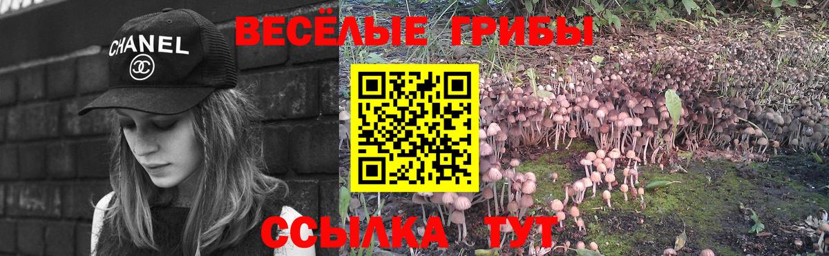 Галлюциногенные грибы Cubensis  Вход с VPN  Златоуст 